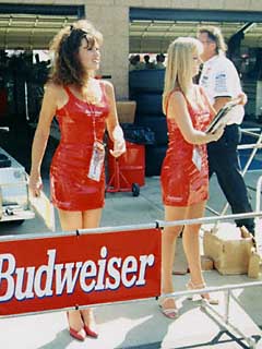 Budweiser Girls